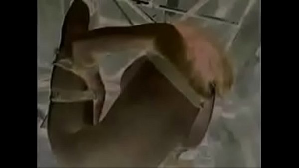 Duehr  BDSM & italiana  ce