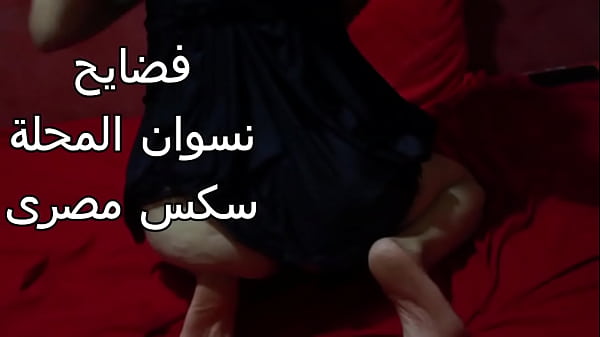 سكس عربى شرموطه مصريه طيزها كبيره عايزه اتناك