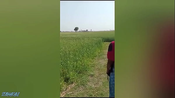 desi bhabhi fingering in the wheat fields village bhabhi fucking xxx video